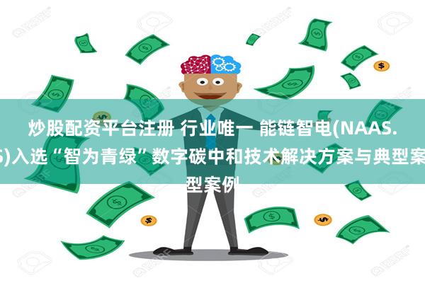 炒股配资平台注册 行业唯一 能链智电(NAAS.US)入选“智为青绿”数字碳中和技术解决方案与典型案例