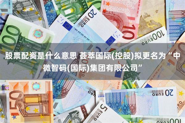 股票配资是什么意思 荟萃国际(控股)拟更名为“中微智码(国际)集团有限公司”
