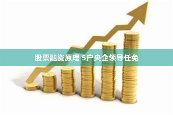 股票融资原理 5户央企领导任免
