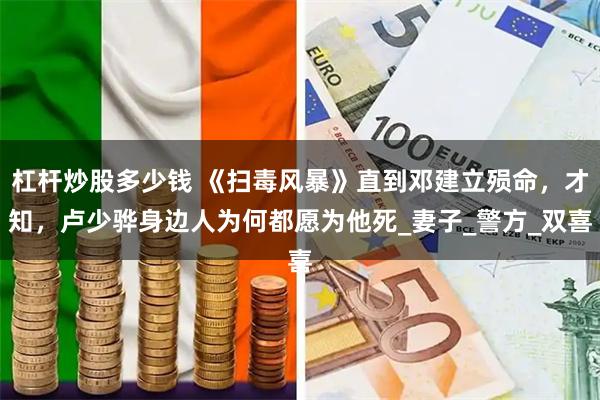 杠杆炒股多少钱 《扫毒风暴》直到邓建立殒命，才知，卢少骅身边人为何都愿为他死_妻子_警方_双喜