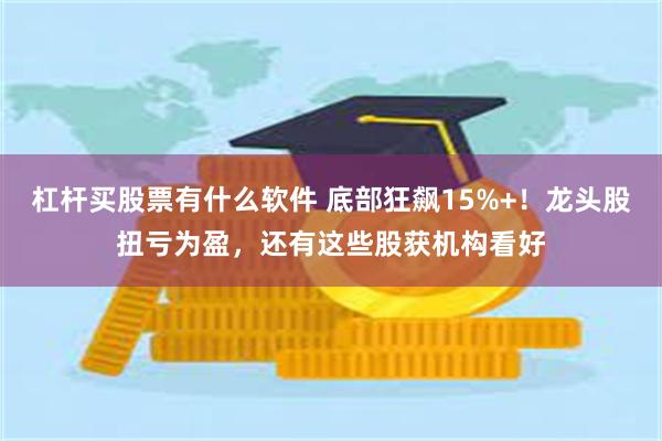 杠杆买股票有什么软件 底部狂飙15%+！龙头股扭亏为盈，还有这些股获机构看好